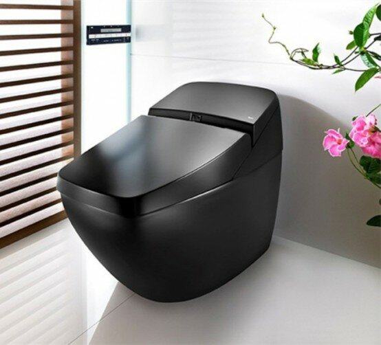 stylish black toilet