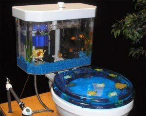 toilet with a fish tank in it